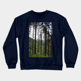 Trees of Glen Nevis Crewneck Sweatshirt